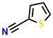 2-Thiophenecarbonitrile