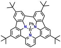 BN3
