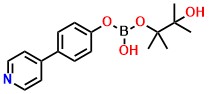 Pinacol 4-(4-pyridyl)phenylborate