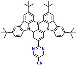 CNPM